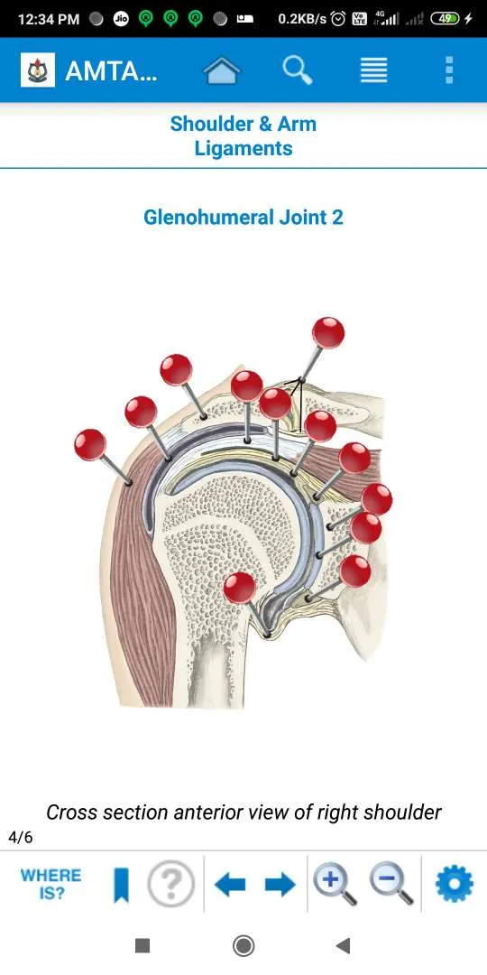 AMTA Anatomy | Indus Appstore | Screenshot