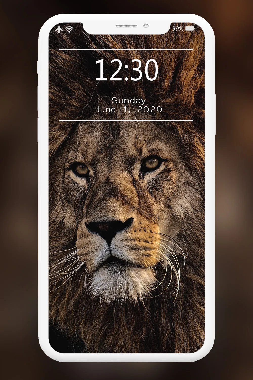 Lion Wallpapers HD | Indus Appstore | Screenshot