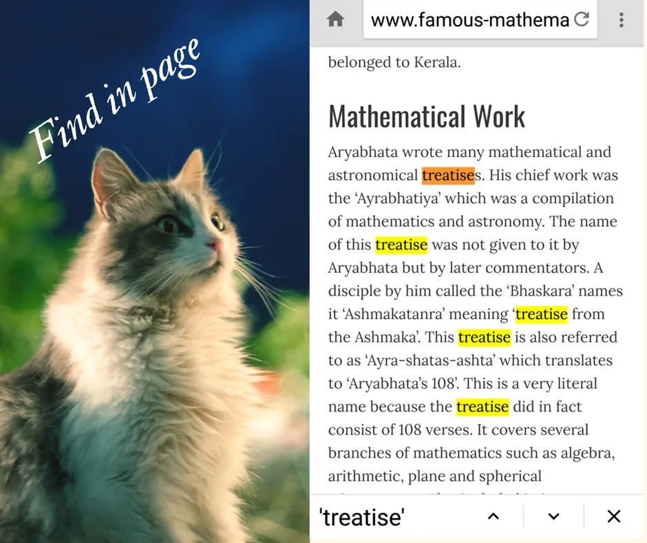 Polyhedron Browser: Fast Priva | Indus Appstore | Screenshot