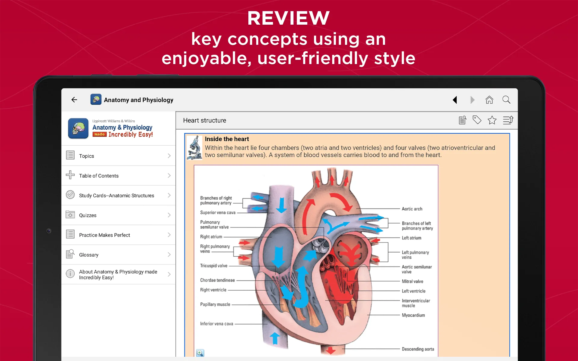 Anatomy & Physiology Made Easy | Indus Appstore | Screenshot