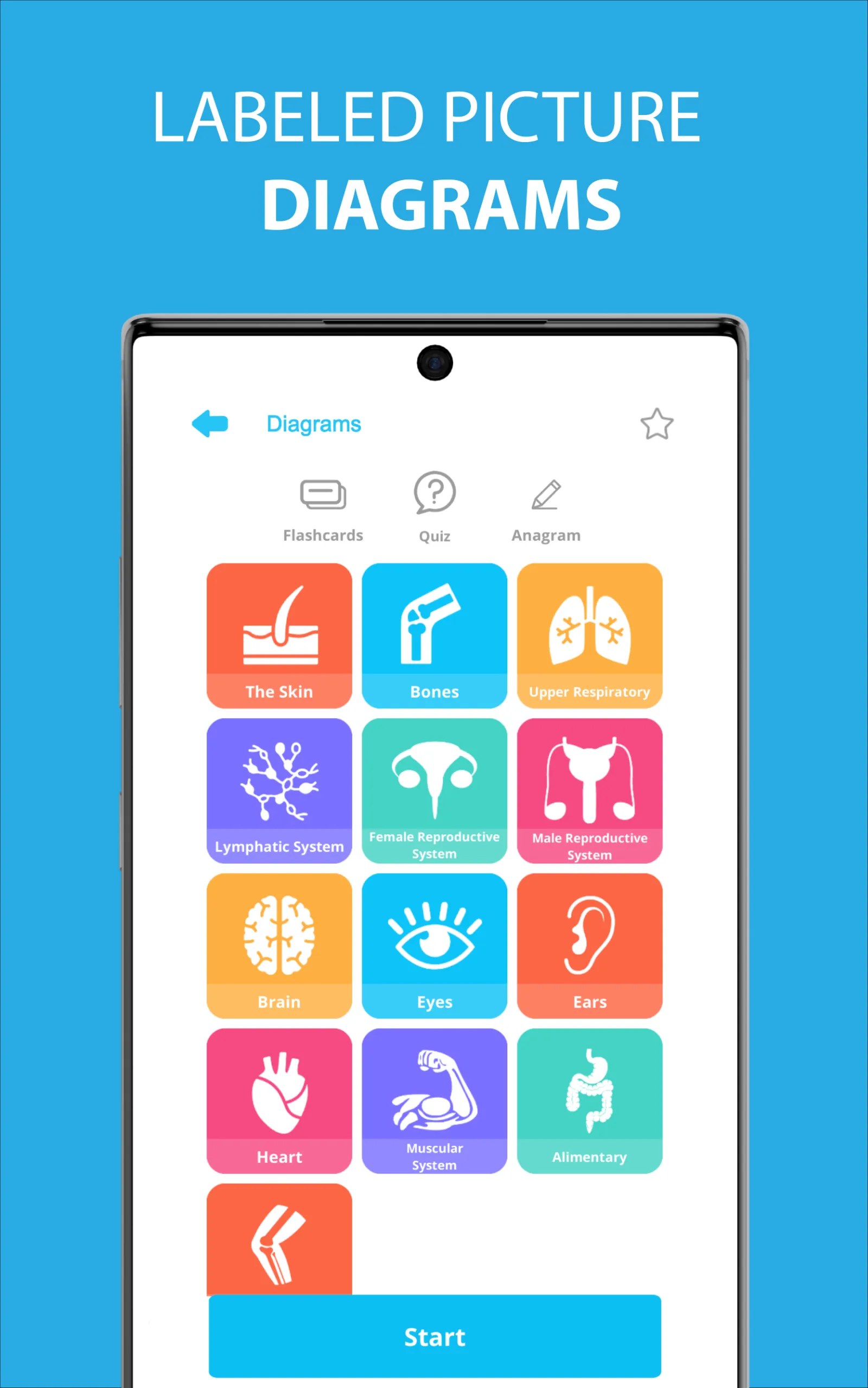 Medical Terminology Learning Q | Indus Appstore | Screenshot