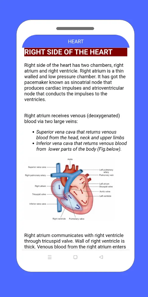 Cardiovascular System | Indus Appstore | Screenshot