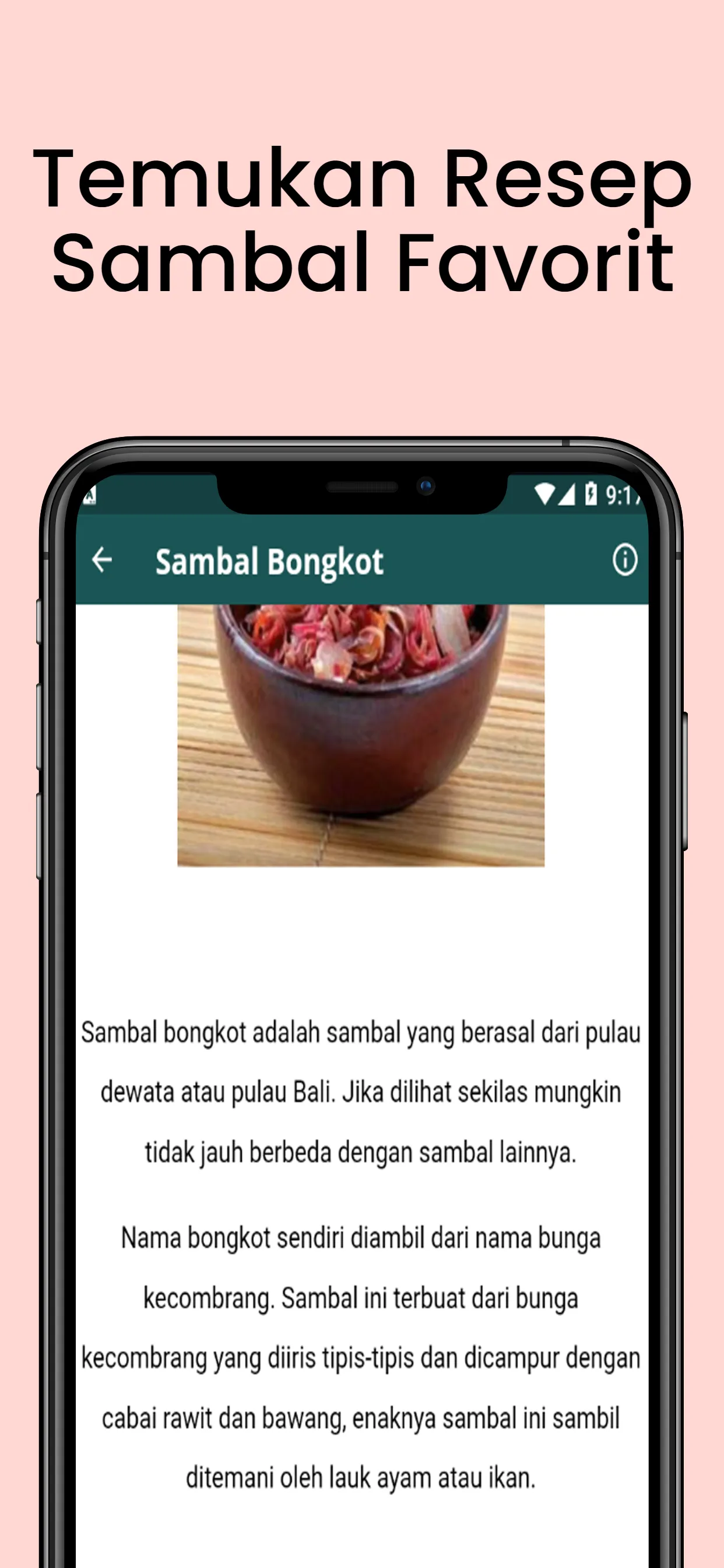 Resep Aneka Sambal Nusantara | Indus Appstore | Screenshot