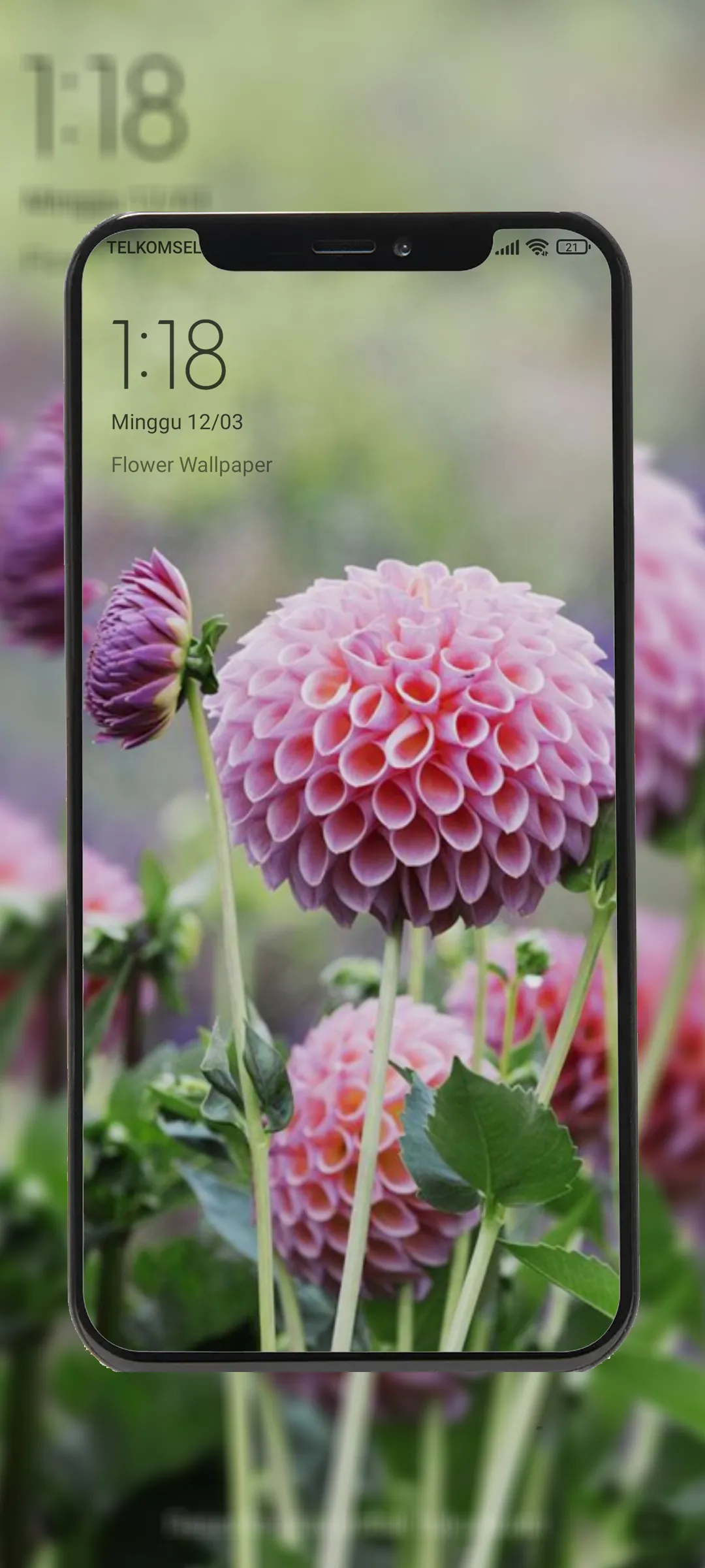 Flower Wallpapers Offline | Indus Appstore | Screenshot