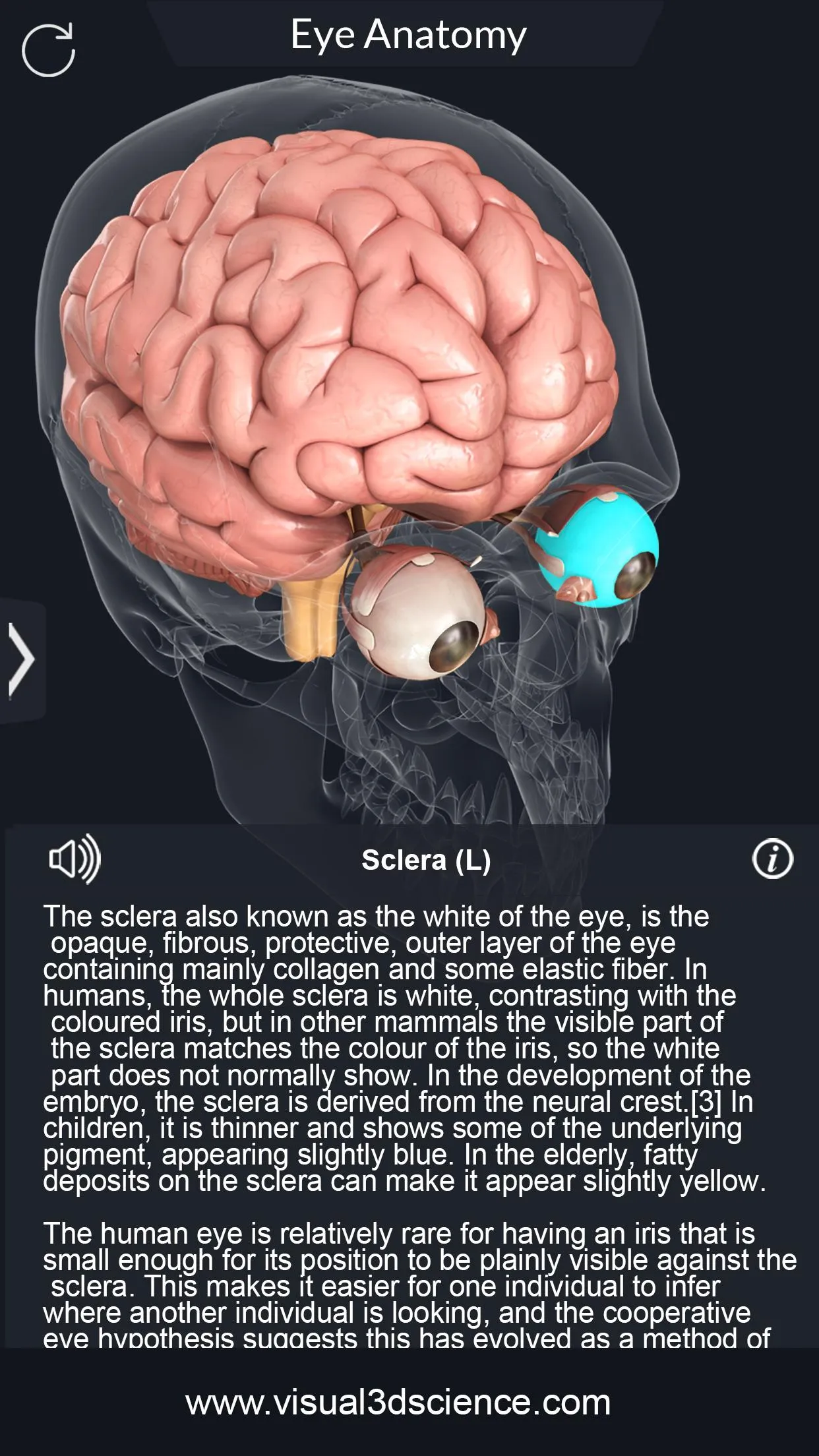 My Eye Anatomy | Indus Appstore | Screenshot