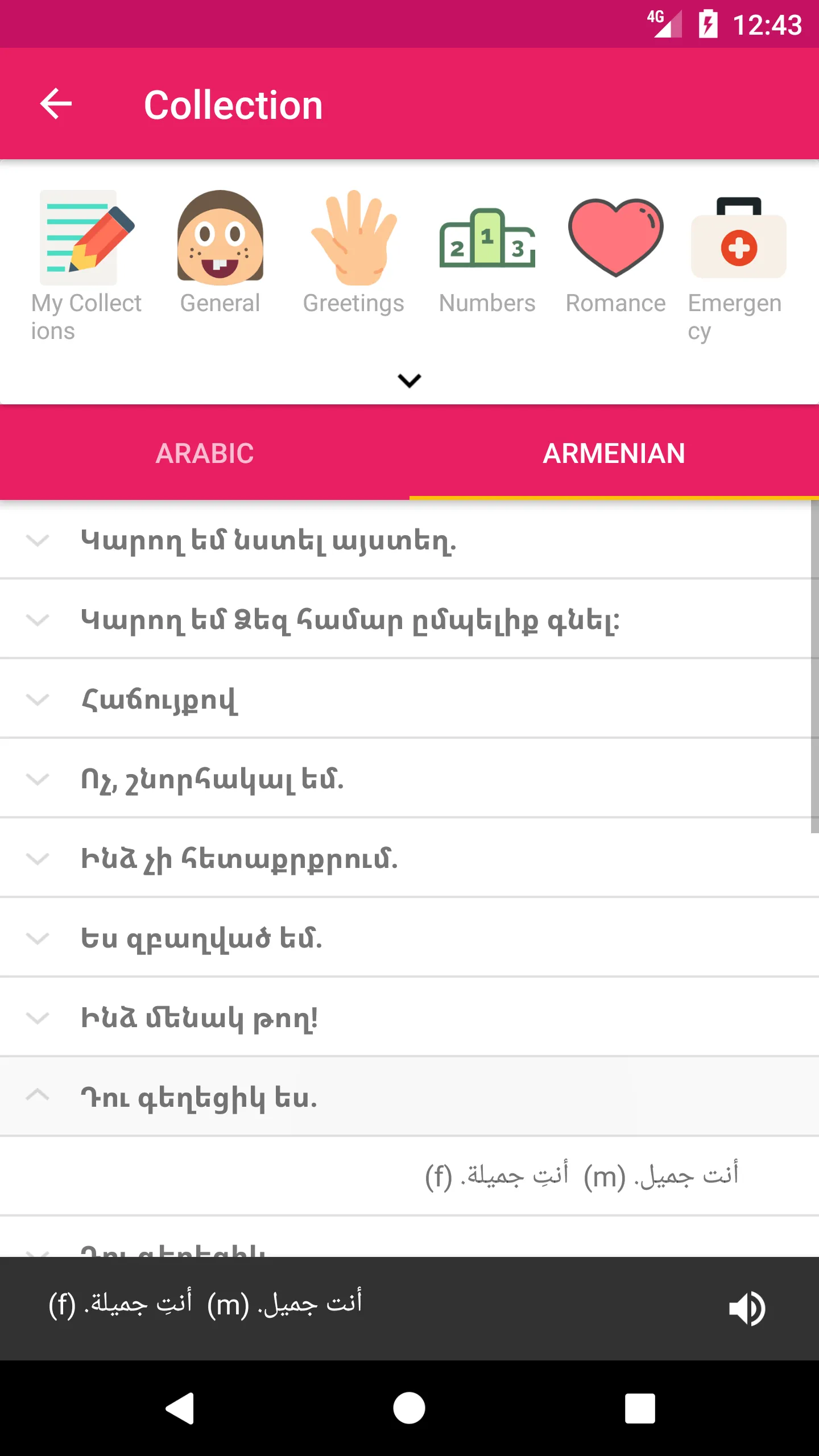 Arabic Armenian Dictionary | Indus Appstore | Screenshot