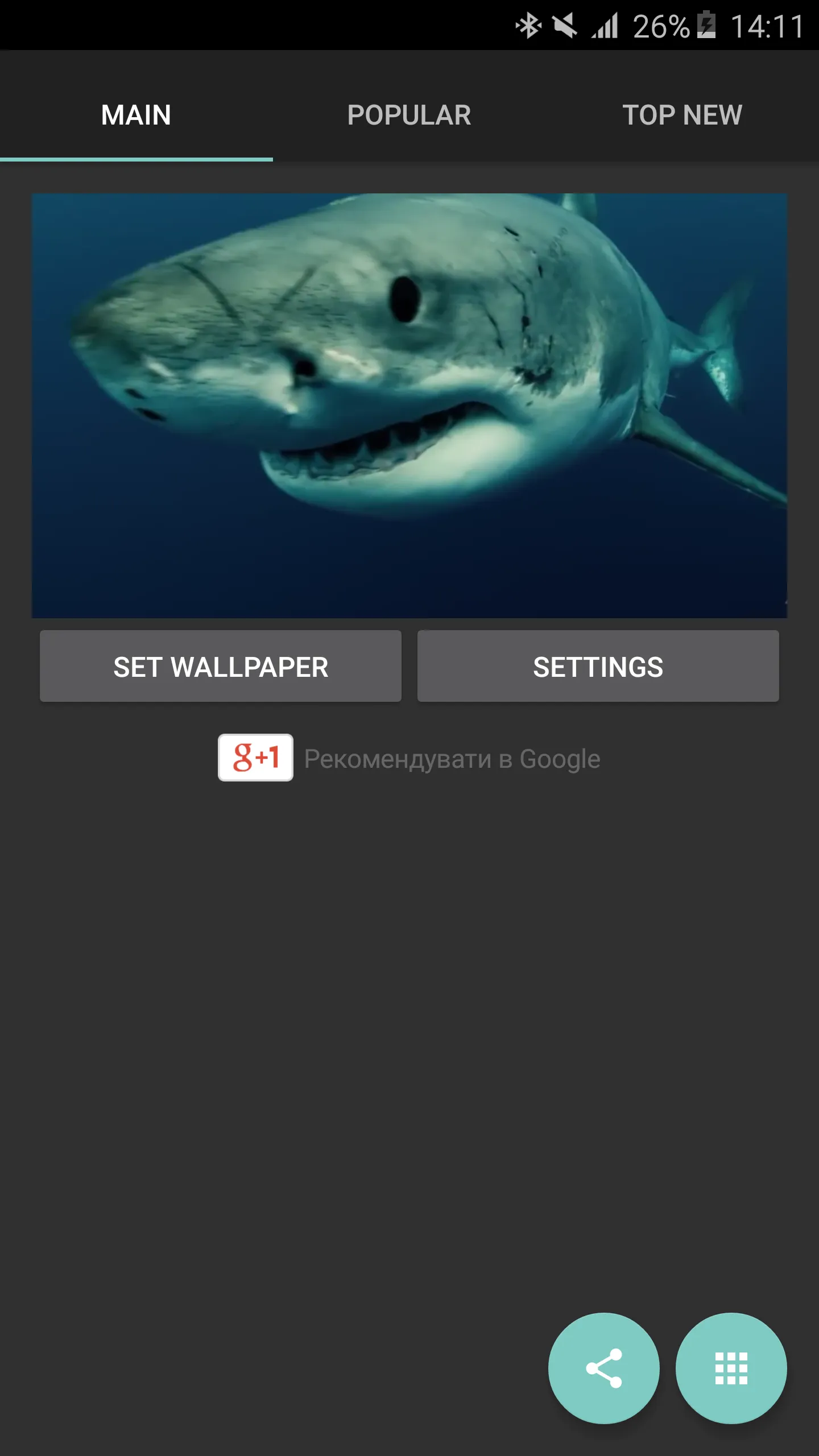 Shark 4K Live Wallpaper | Indus Appstore | Screenshot