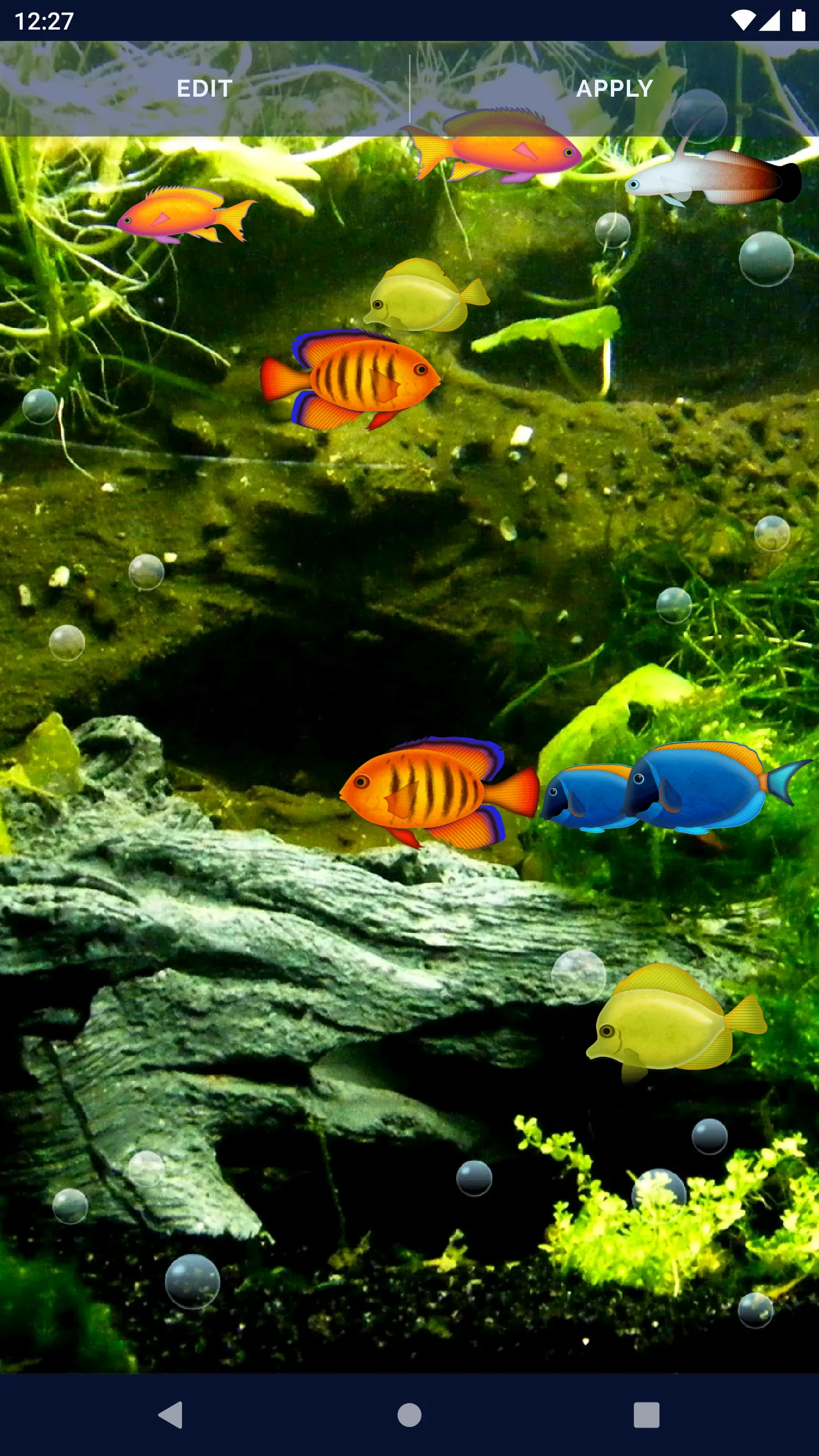 Aquarium Fish Live Wallpaper | Indus Appstore | Screenshot