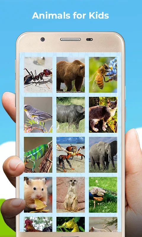 Animal sound for kids Learning | Indus Appstore | Screenshot