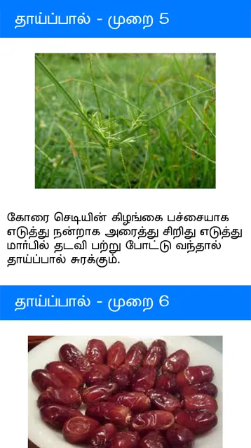 Ayurvedic Tamil Medicine | Indus Appstore | Screenshot