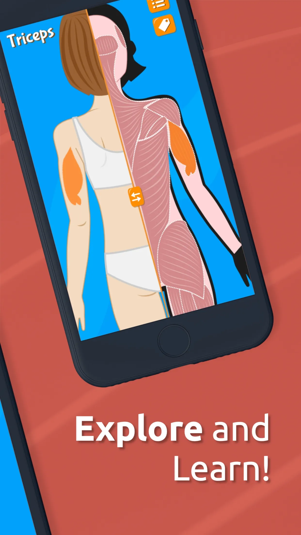 Human Anatomy - Body parts | Indus Appstore | Screenshot