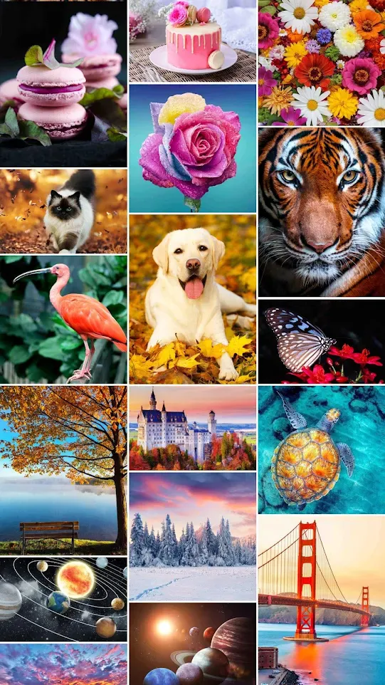 Jigsaw1000: Jigsaw puzzles | Indus Appstore | Screenshot