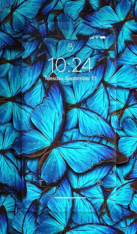 Butterfly Wallpaper | Indus Appstore | Screenshot