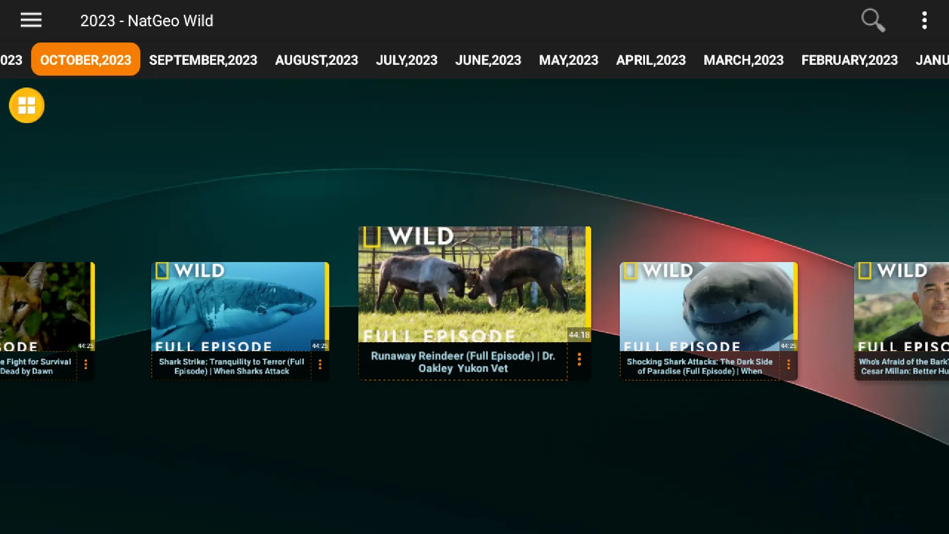 Fauna TV: NatGeo Wild HD | Indus Appstore | Screenshot