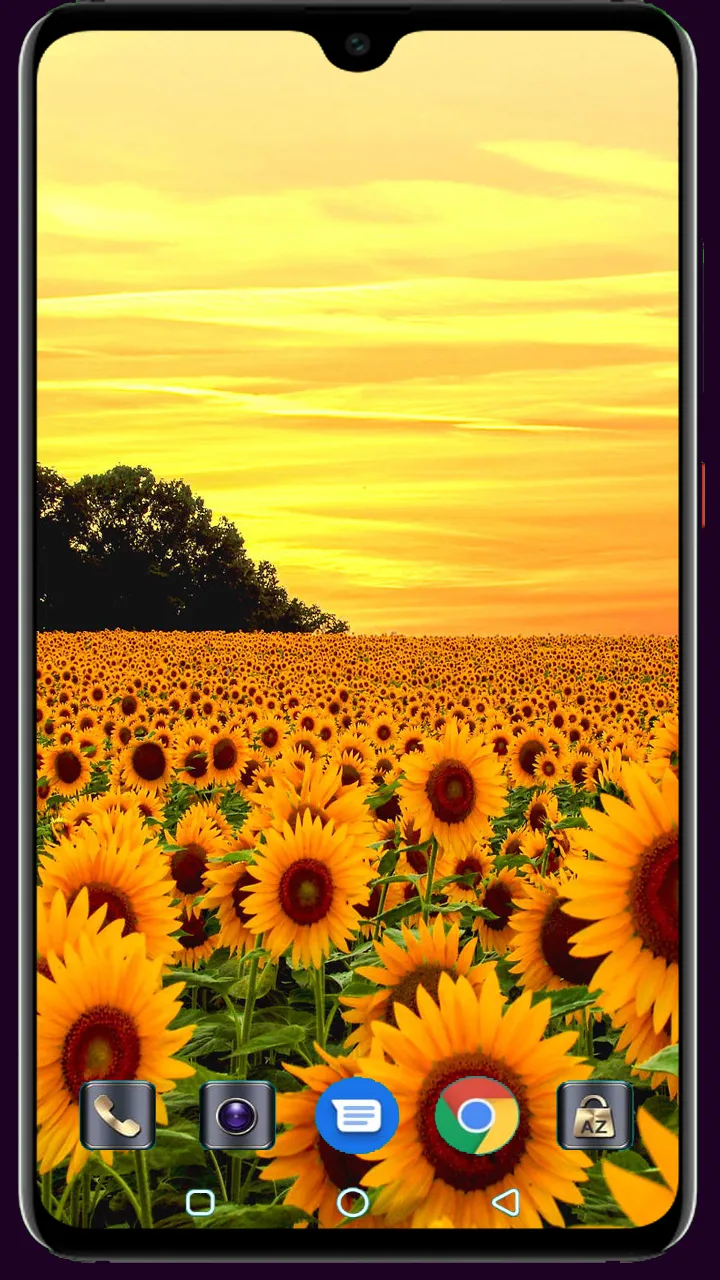 Sunflower Wallpaper | Indus Appstore | Screenshot