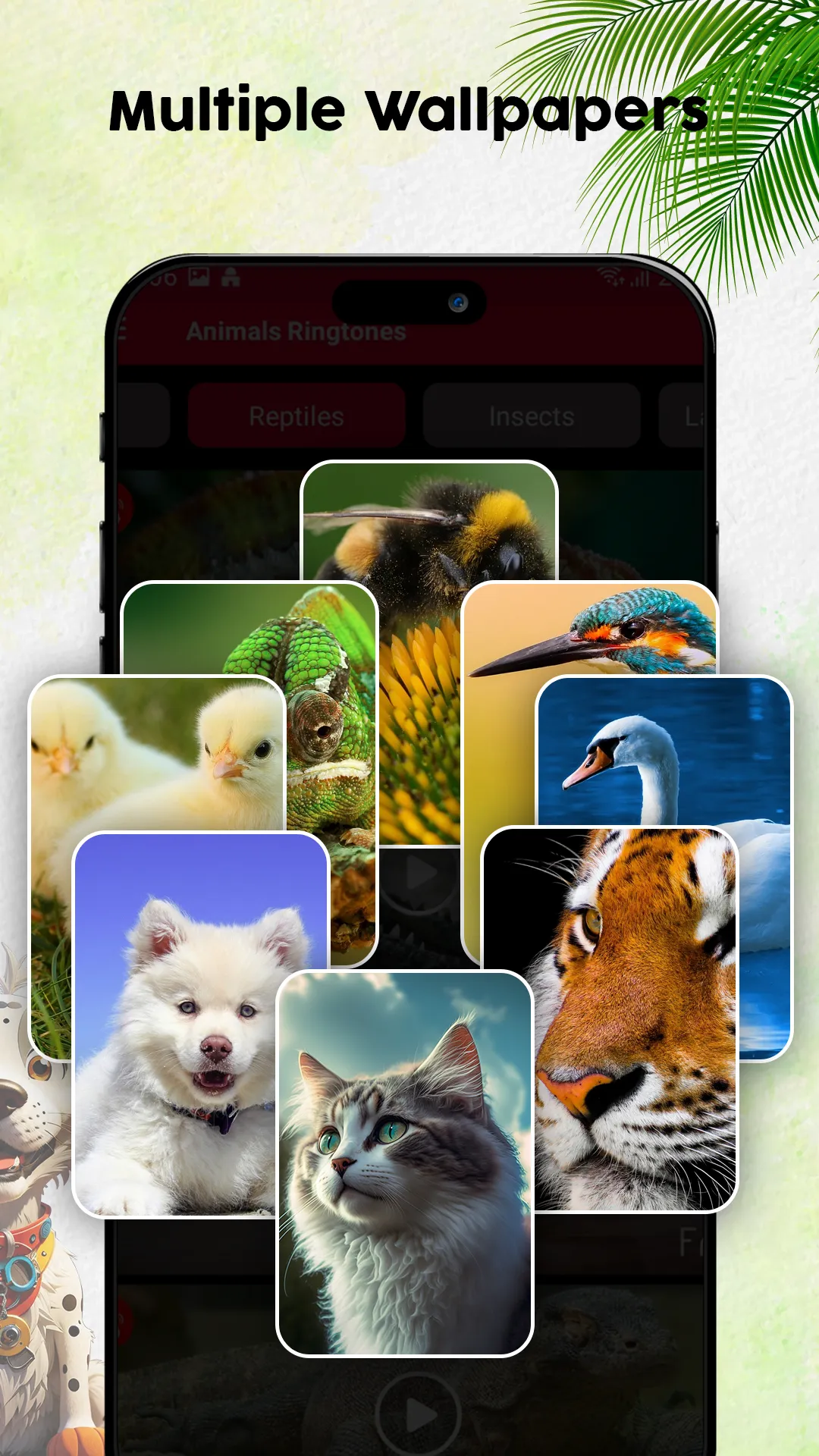 Animal Ringtones & Wallpapers | Indus Appstore | Screenshot