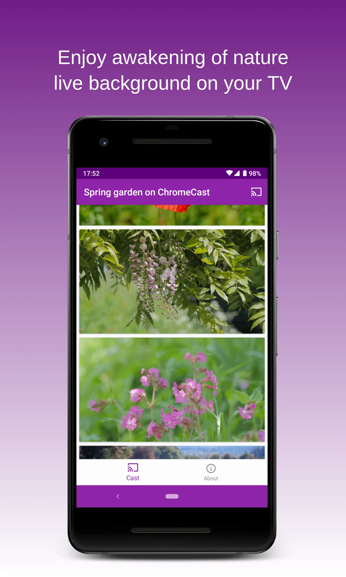 Spring Garden on Chromecast | Indus Appstore | Screenshot