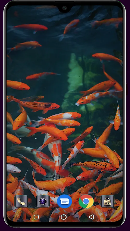 HD Fish Wallpaper | Indus Appstore | Screenshot