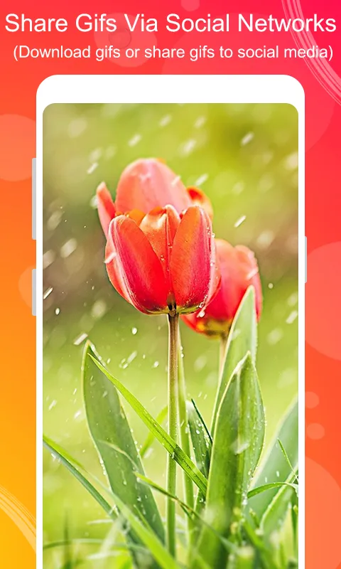 Rain GIF | Indus Appstore | Screenshot