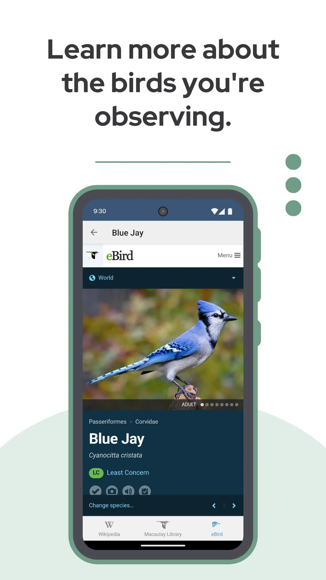 BirdNET | Indus Appstore | Screenshot