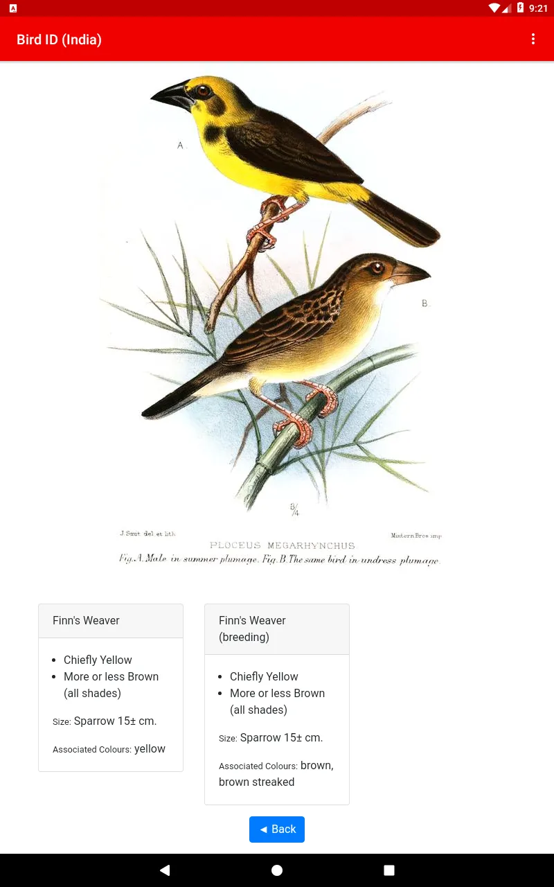 Bird ID (India) | Indus Appstore | Screenshot