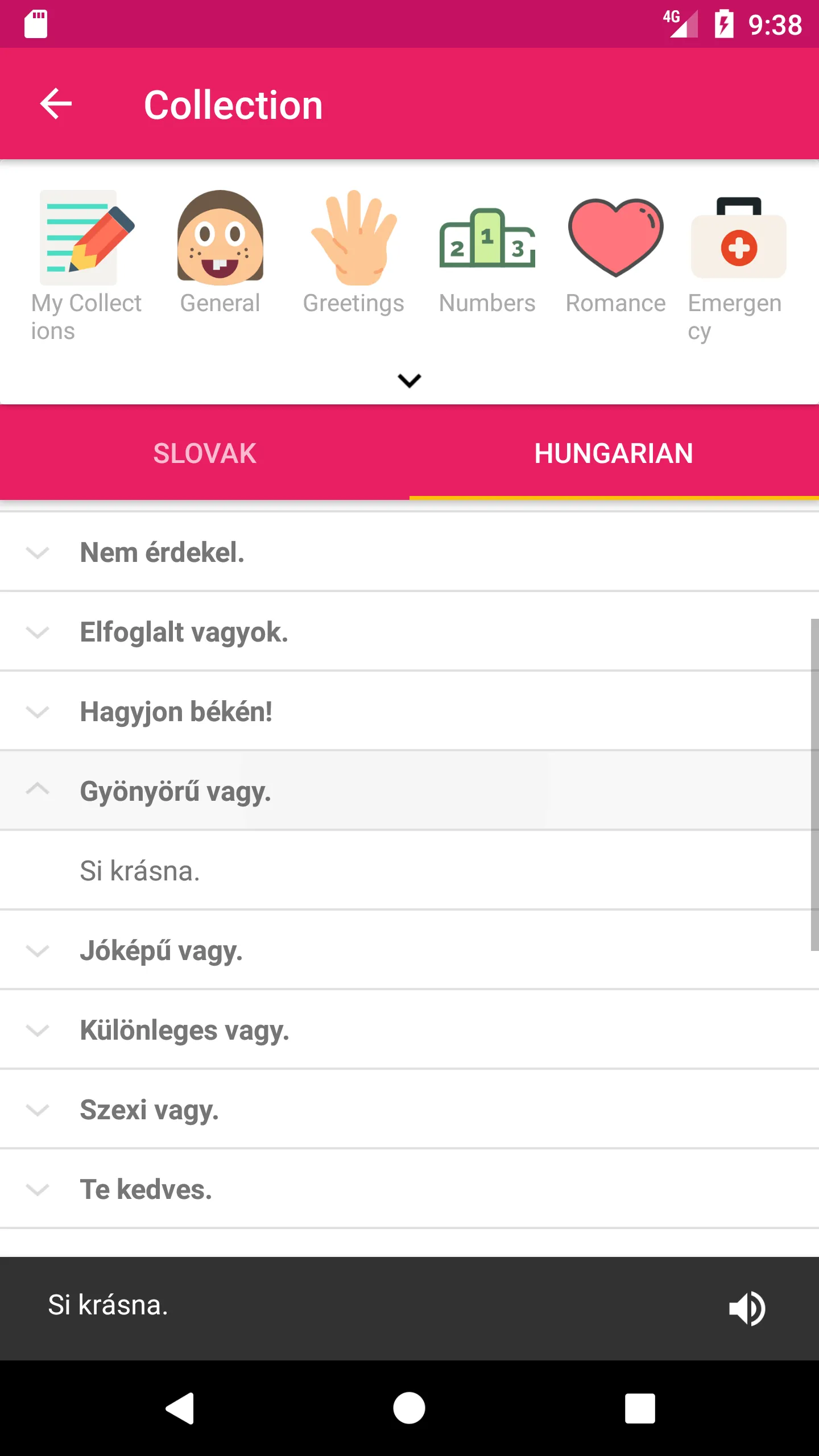 Slovak Hungarian Dictionary | Indus Appstore | Screenshot