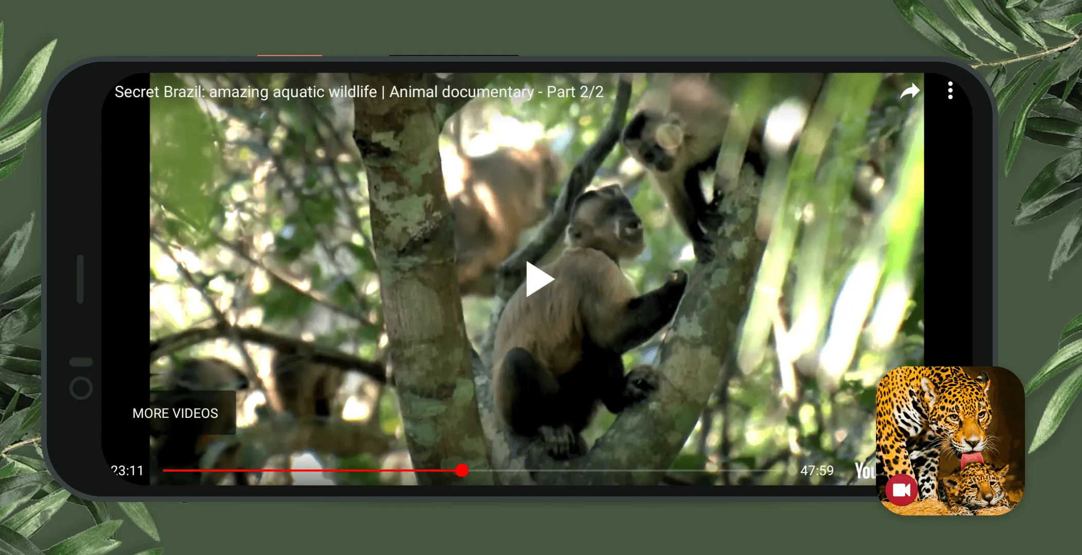 Wild Animals Documentary | Indus Appstore | Screenshot