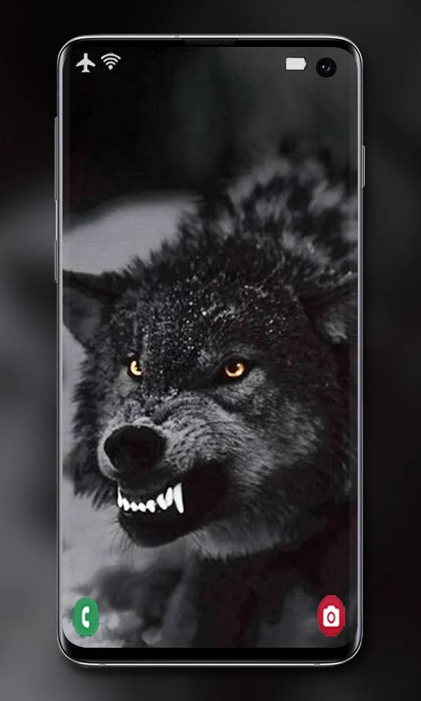 Wolf Wallpaper | Indus Appstore | Screenshot