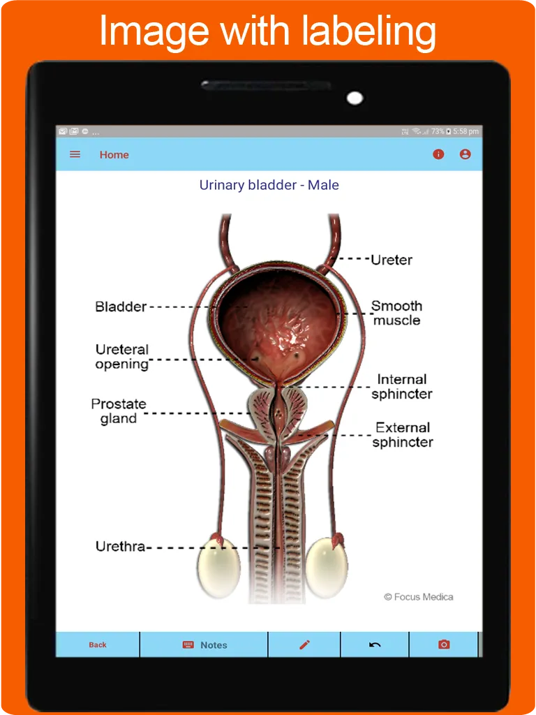 Silodal - Atlas of Urology | Indus Appstore | Screenshot