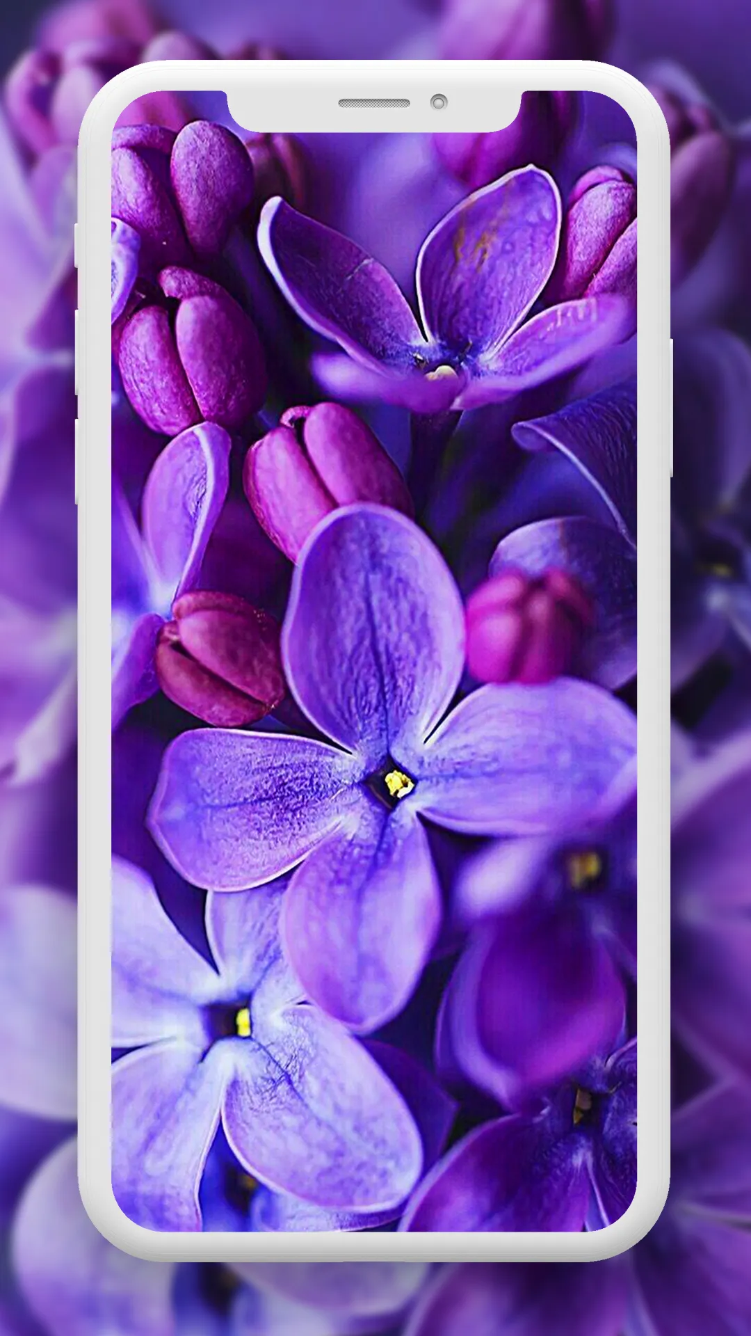 Flower Wallpaper HD – 4k | Indus Appstore | Screenshot