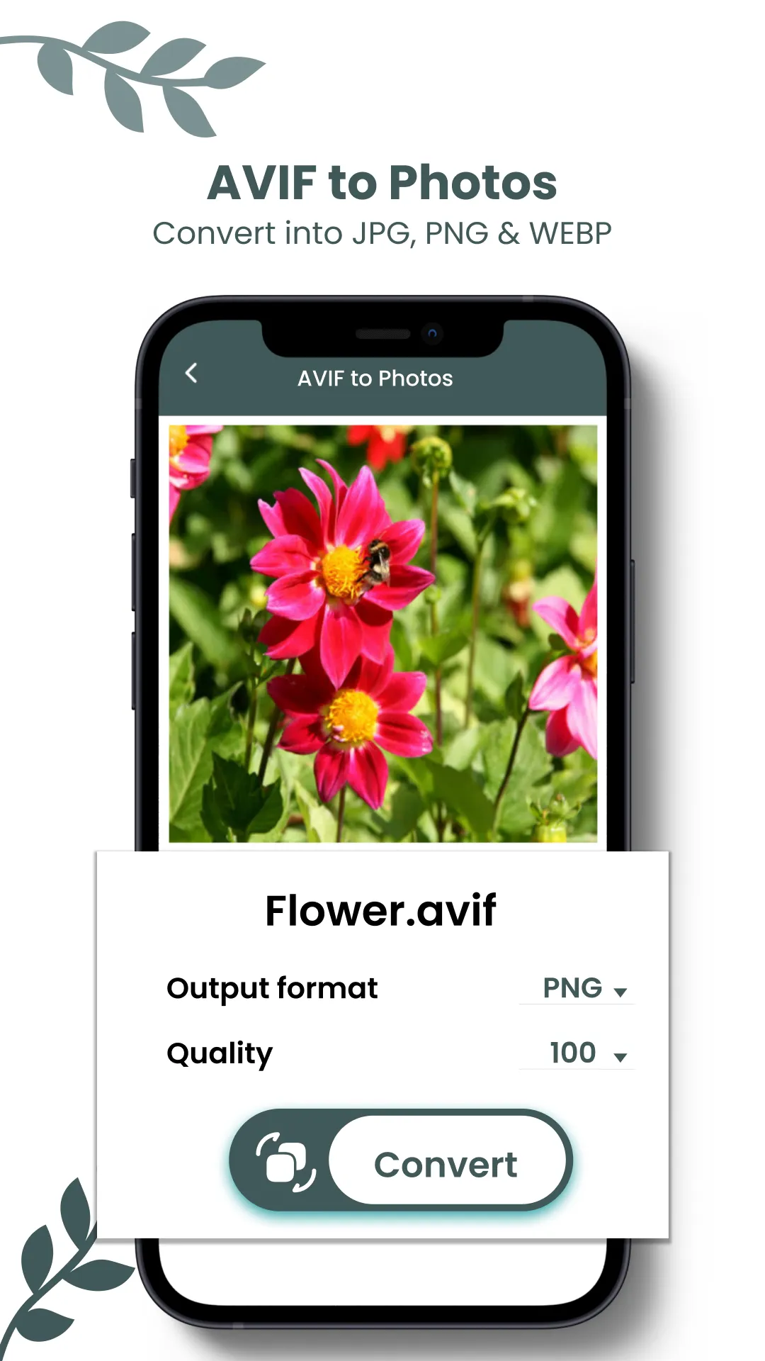AVIF Image Viewer: AVIF to JPG | Indus Appstore | Screenshot