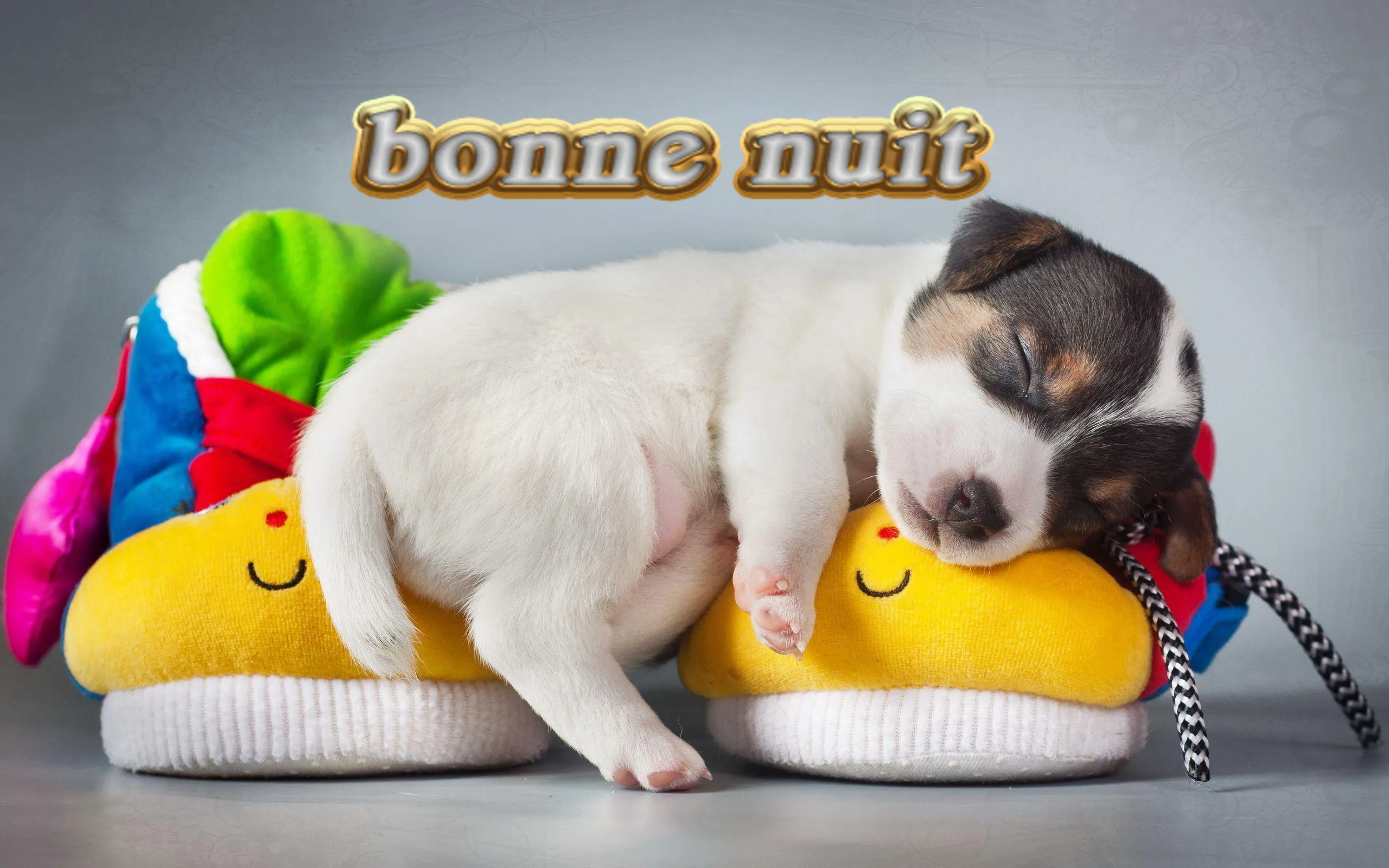 Bonjour, Bonsoir et Bonne Nuit | Indus Appstore | Screenshot