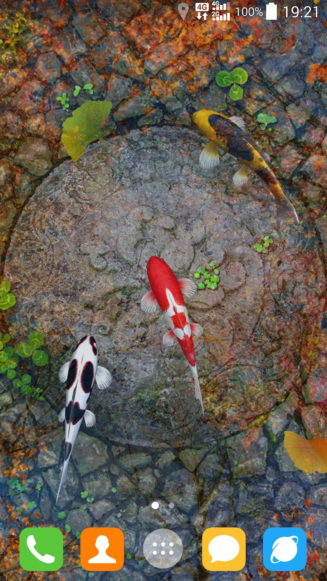 Water Garden Live Wallpaper | Indus Appstore | Screenshot