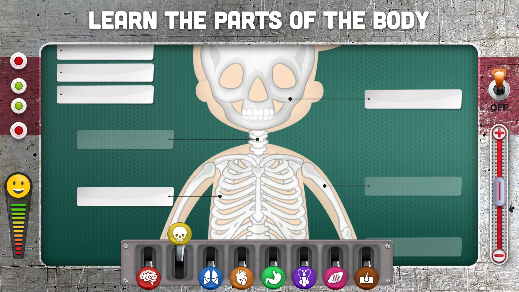 How does The Human Body Work? | Indus Appstore | Screenshot