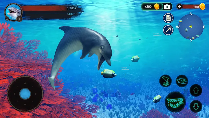 The Dolphin | Indus Appstore | Screenshot