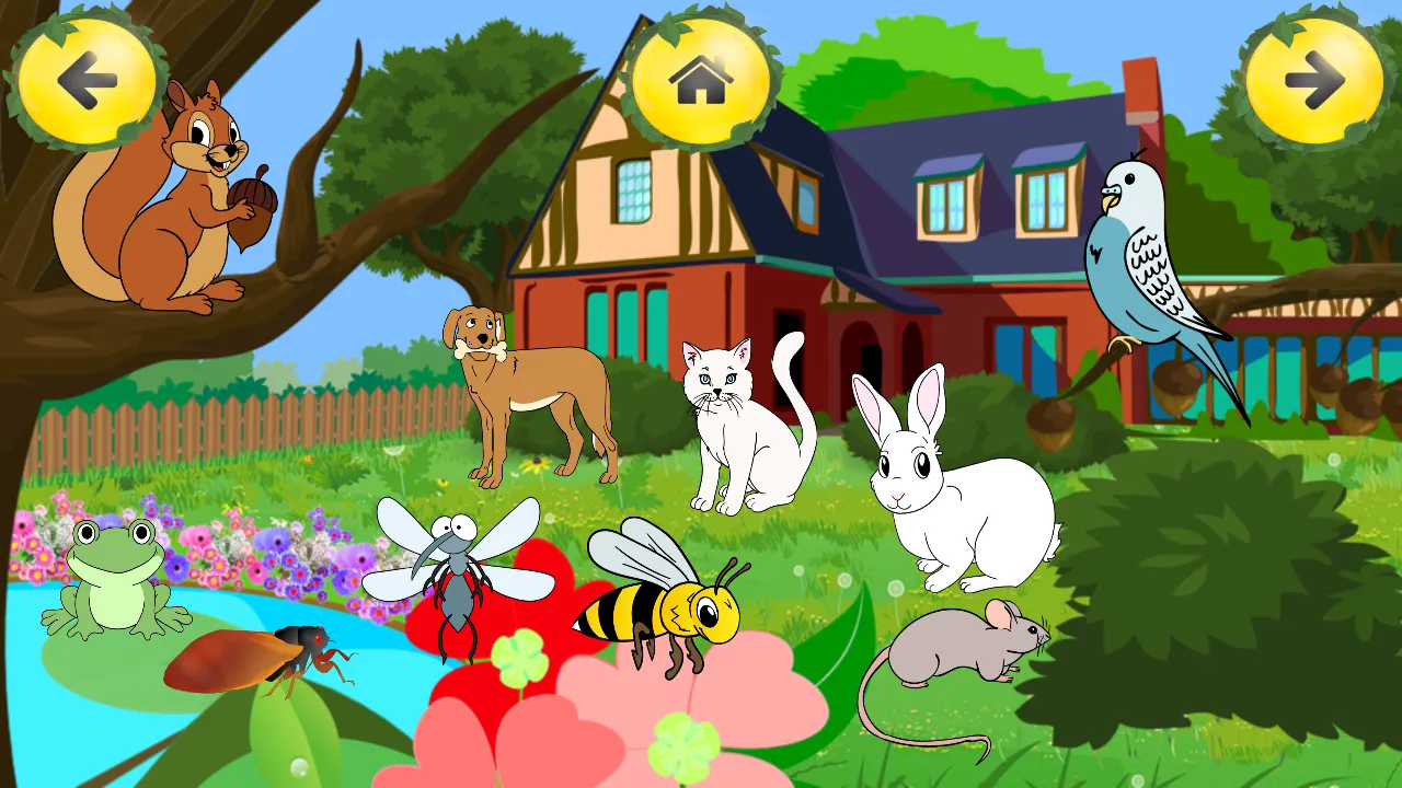 Animal Sounds Learn-Find Game | Indus Appstore | Screenshot