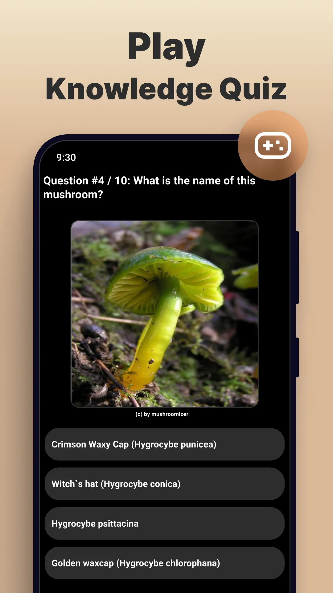 Mushroom Identification | Indus Appstore | Screenshot