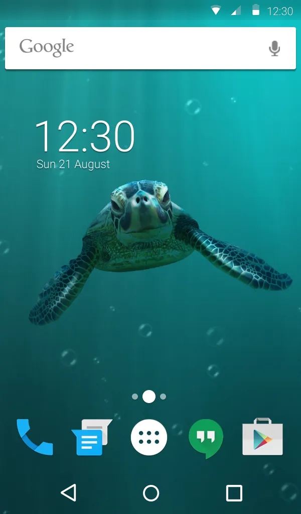 Cute Turtle Wallpaper Theme | Indus Appstore | Screenshot