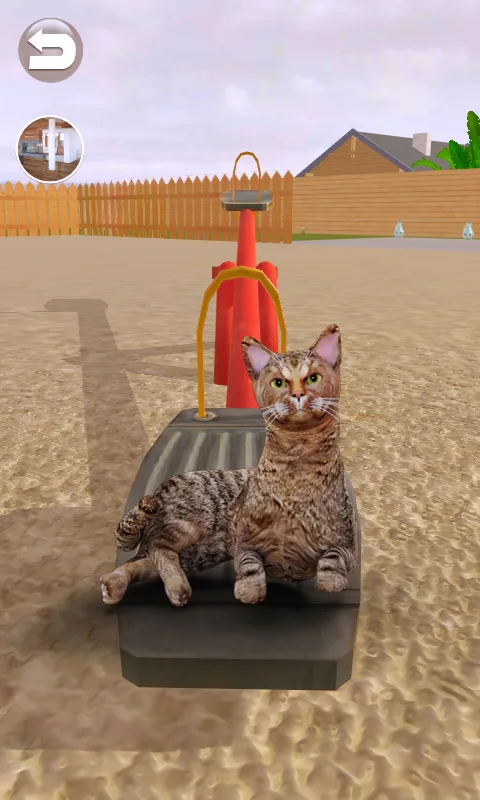 Talking Somali Cat | Indus Appstore | Screenshot