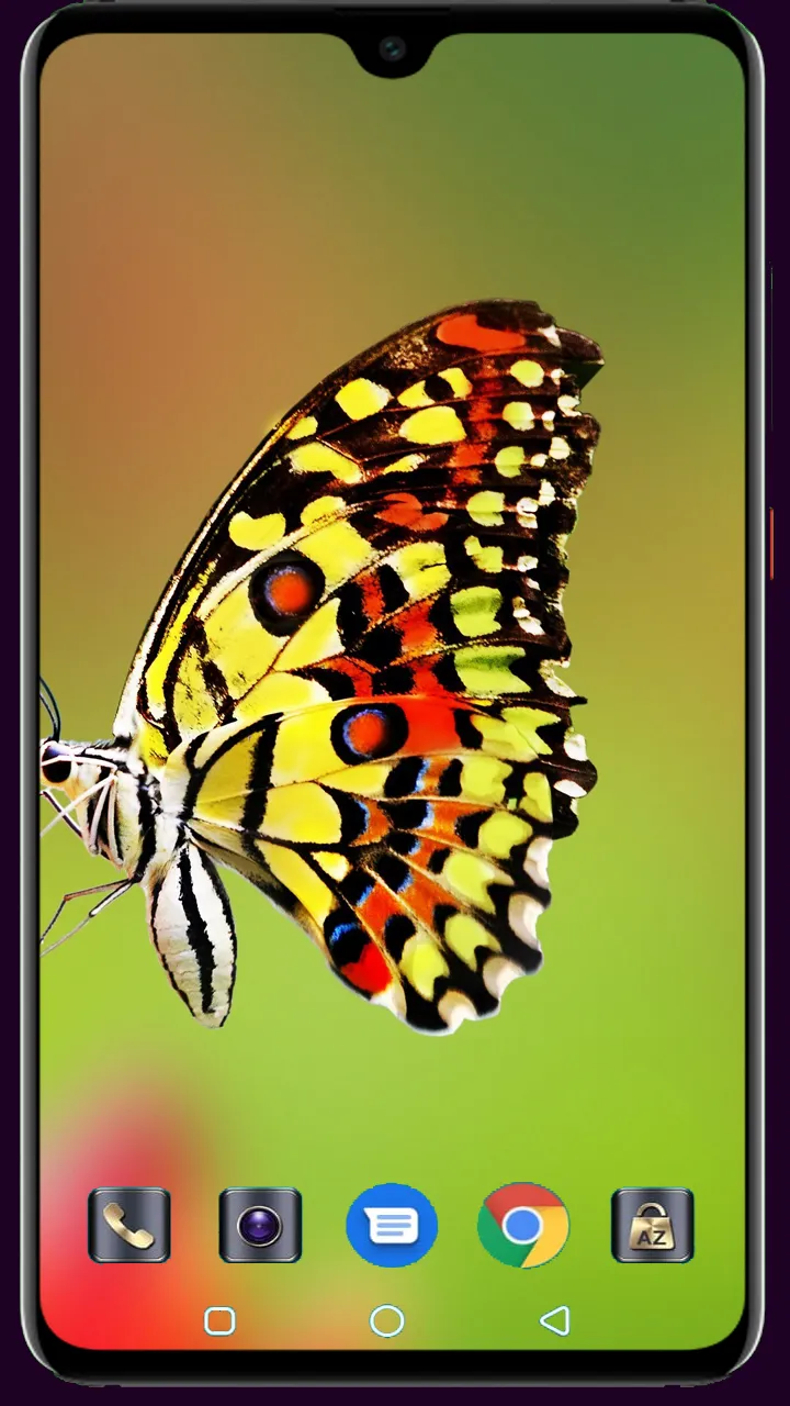 Butterfly Wallpaper | Indus Appstore | Screenshot