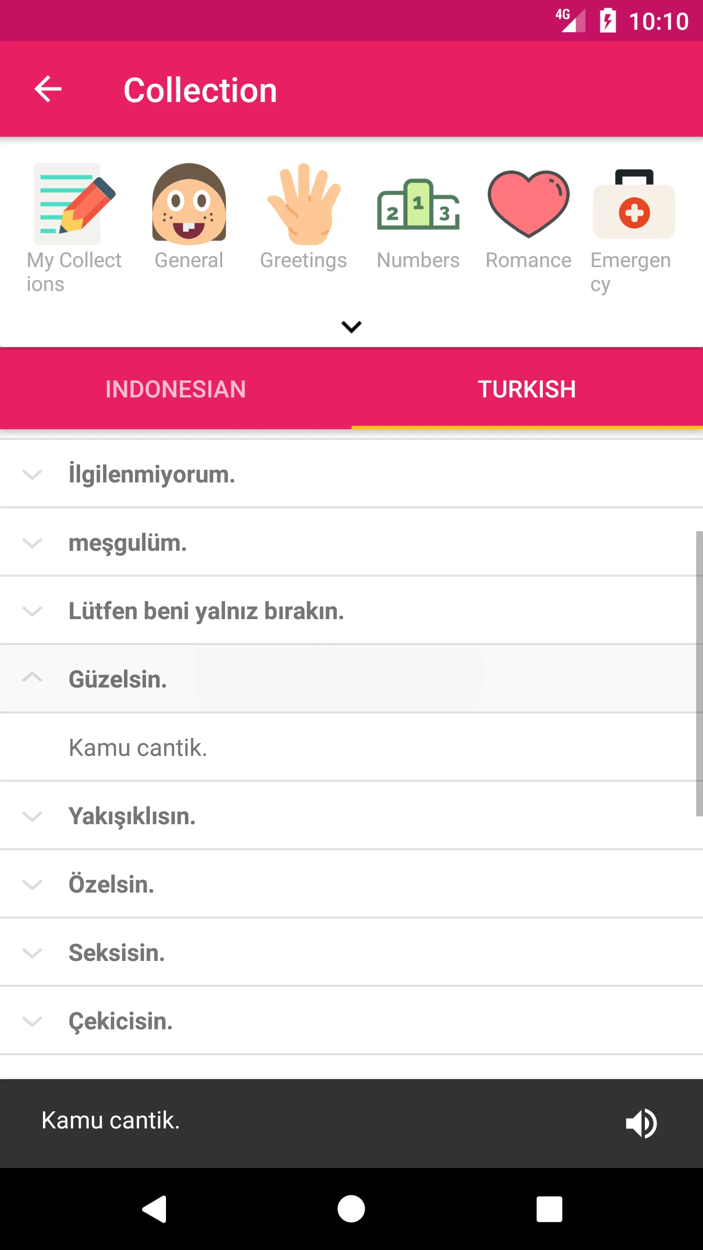 Indonesian Turkish Dictionary | Indus Appstore | Screenshot