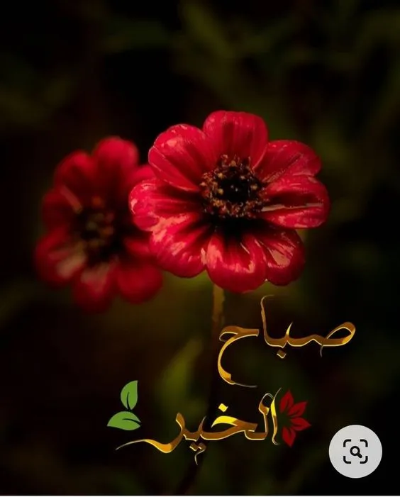 صور صباح الخير | Indus Appstore | Screenshot