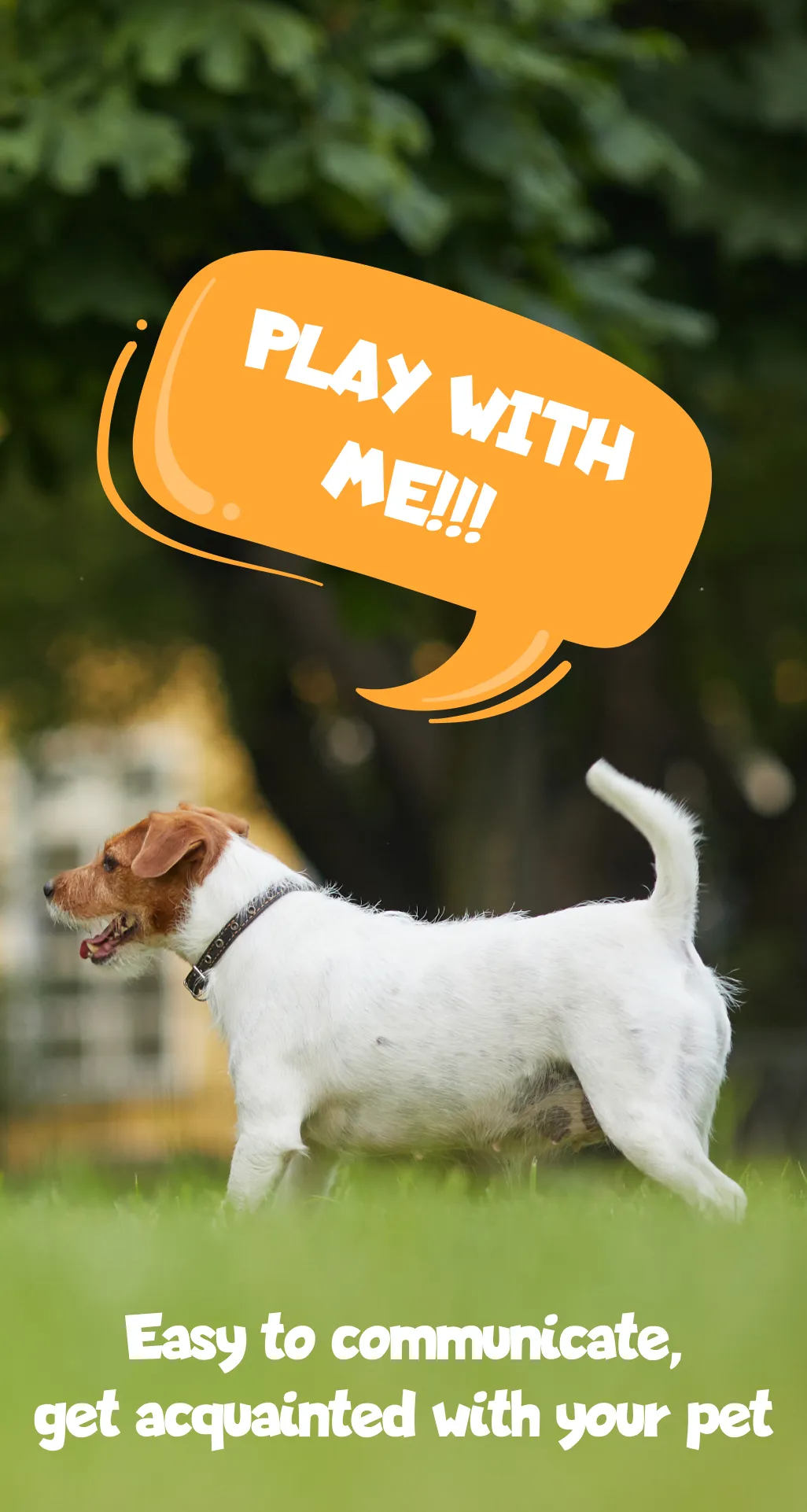 Pet Say - Talking Pet, Cat&Dog | Indus Appstore | Screenshot