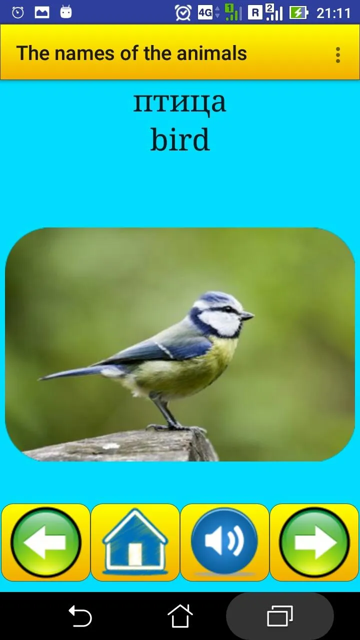 Animal names in Bulgarian | Indus Appstore | Screenshot