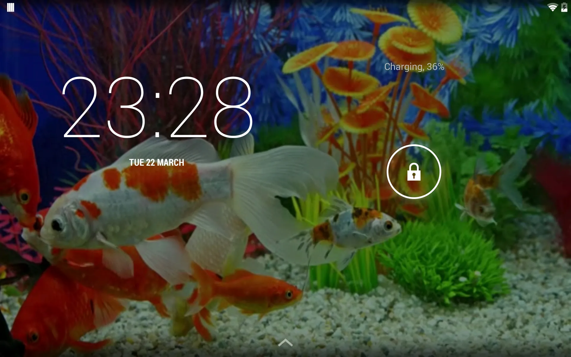 Aquarium Live Wallpaper | Indus Appstore | Screenshot