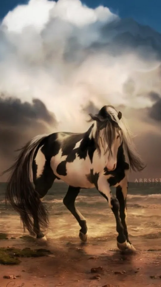 Horse Wallpapers | Indus Appstore | Screenshot