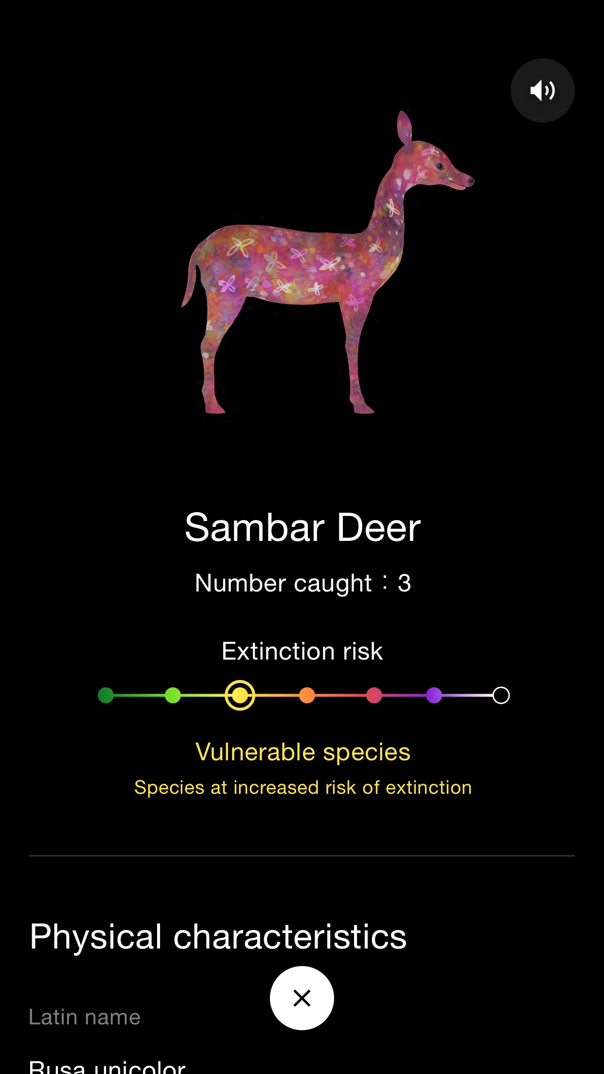 Catching and Collecting Forest | Indus Appstore | Screenshot