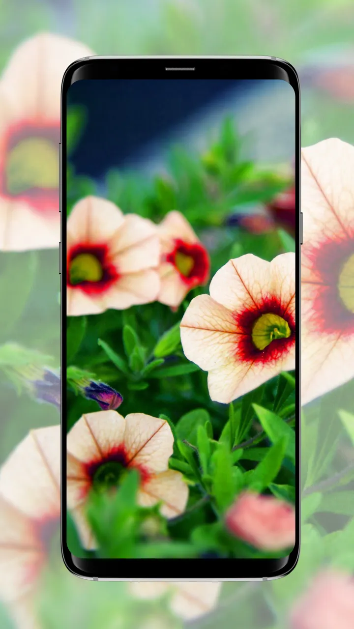 Flower wallpaper | Indus Appstore | Screenshot