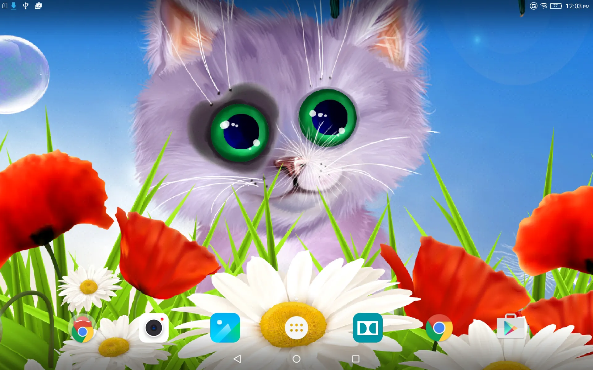 Spring Kitten Live Wallpaper | Indus Appstore | Screenshot