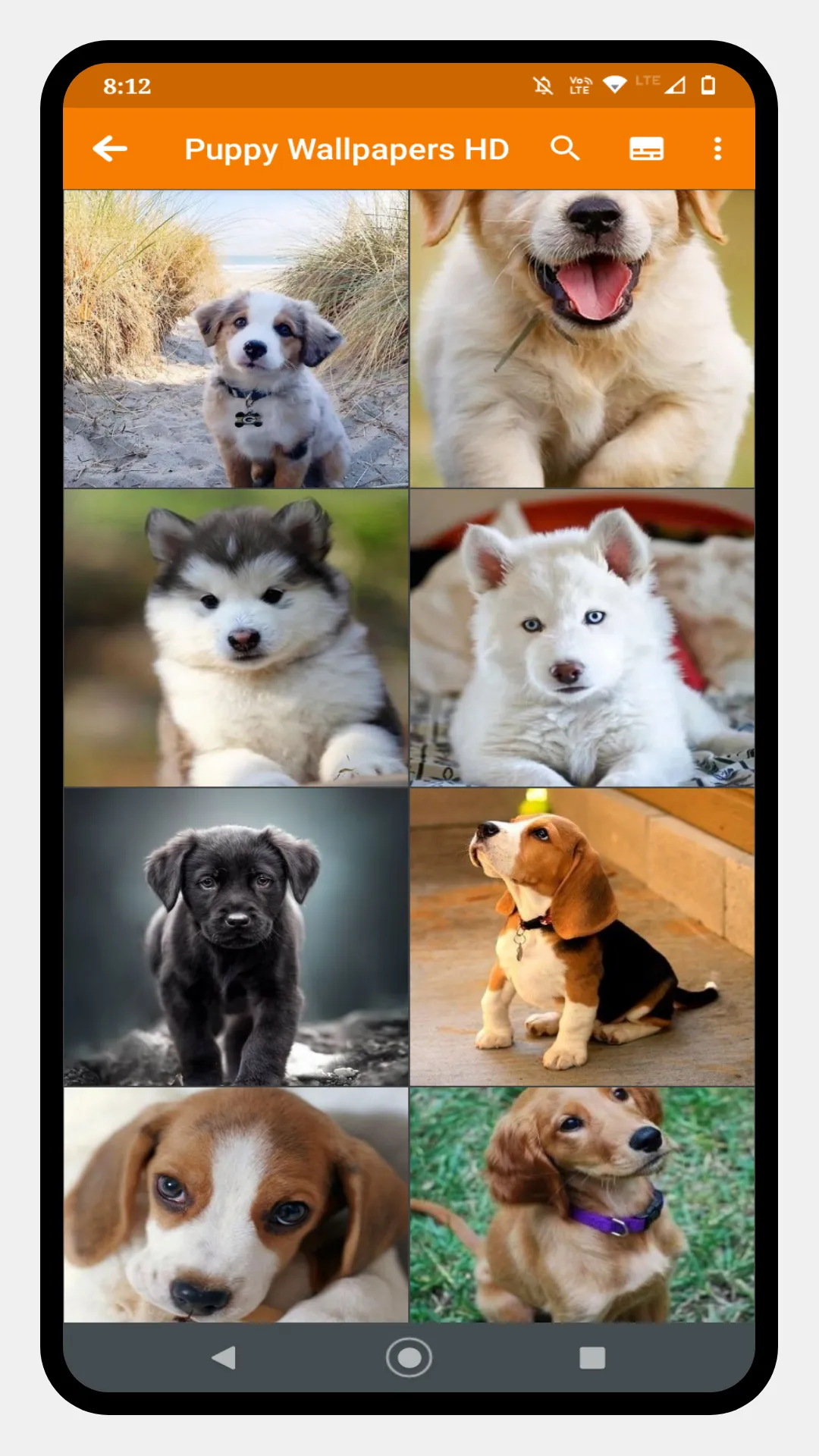 Cute Puppy Wallpaper | Indus Appstore | Screenshot